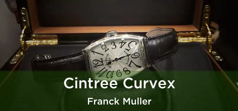  Cintree Curvex Franck Muller
