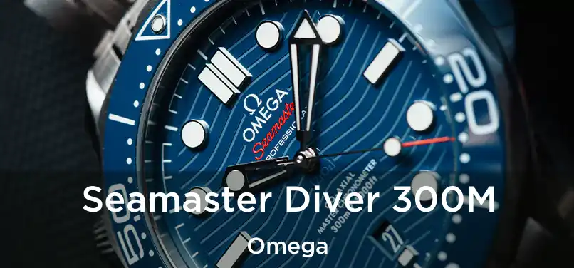  Seamaster Diver 300M Omega